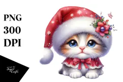 Cute Baby Cat, Transparent PNG Product Image 1