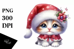Cute Baby Cat, Transparent PNG Product Image 1