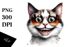 Funny Cat with Crazy Face PNG Product Image 1