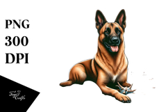 Watercollor Malinois Sitting in Sand | Sublimation | Clipart Product Image 1