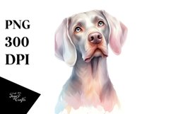 Sublimation|Clipart Product Image 3