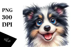 Baby Border Collie Transparent PNG Product Image 1