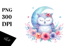Pastel Owl Sleeping on the Moon PNG Product Image 1