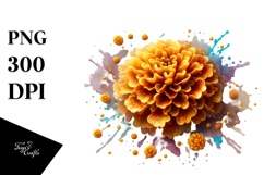 Marigold Design, Transparent PNG Product Image 1