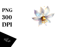 Sublimation|Clipart Product Image 1