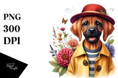 Sublimation Clipart of Baby Rhodesian Ridgeback in Raincoat Product Image 1