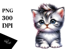 Cute Baby Kitten with Cool Haircut, Playful PNG Product Image 1