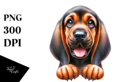 Baby Bloodhound with Crazy Fur, PNG Product Image 1