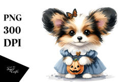 Halloween Papillon Dog PNG Product Image 1