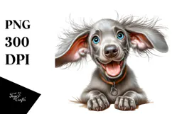 Baby Weimaraner, Transparent PNG Product Image 1