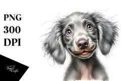 Baby Weimaraner, Transparent PNG Product Image 1
