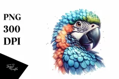 Funny Cute Parrot Portrait | Sublimation Clipart Product Image 3