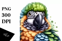 Funny Cute Parrot Portrait | Sublimation Clipart Product Image 1