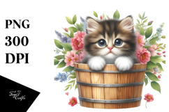Cute Baby Cat PNG Product Image 1