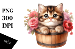 Cute Baby Cat PNG Product Image 1