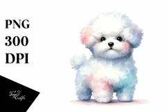 Cute Pastel Bichon Frise Clipart PNG Product Image 3
