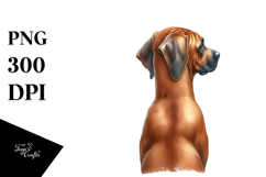 Watercolor Rhodesian Ridgeback with Christmass Gifts PNG Product Image 1