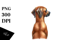 Watercolor Rhodesian Ridgeback with Christmass Gifts PNG Product Image 1