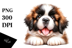 Happy Baby Saint Bernard.png Product Image 1