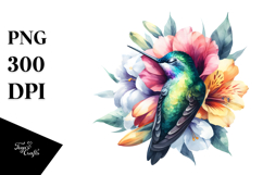 Vibrant Sleeping Hummingbird Clipart Product Image 1