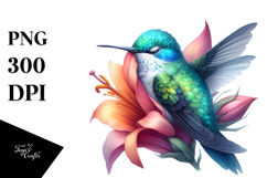 Vibrant Sleeping Hummingbird Clipart Product Image 1