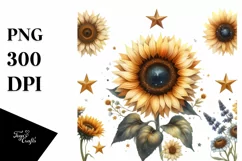 Sunflower Stars Vintage | Clipart Product Image 1