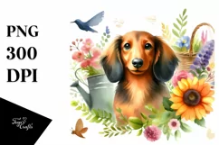 Watercolor Dachshund Sticker Summer | Clipart Product Image 3