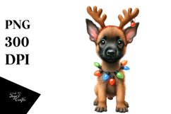 Enthusiastic Malinois in Christmas Theme PNG Product Image 3