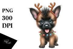 Energetic Malinois in Christmas Theme PNG Product Image 1