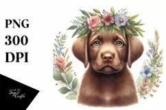 Watercolor Baby Chesapeake Bay Retriever Big Eyes Product Image 3