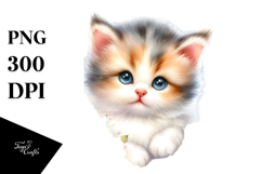 Vibrant Baby Cat with Christmas Hat, Transparent PNG Product Image 1