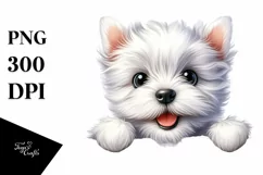 Funny Baby West Highland White Terrier | Clipart Product Image 3