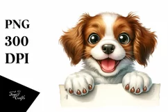 Cute Baby Brittany | Sublimation | Clipart Product Image 1