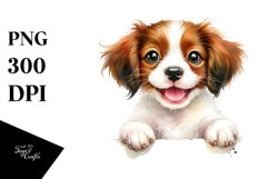 Cute Baby Brittany | Sublimation | Clipart Product Image 3