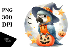 Cute Baby Macaw on Star Halloween PNG Product Image 1