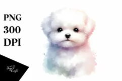 Cute Pet Bichon Frise Watercolor | Sublimation Clipart Product Image 1