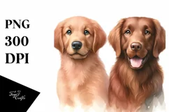 Cute Pet Chesapeake Bay Retriever Watercolor | Sublimation Product Image 1