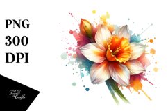 Colorful Shiny Narcissus Clipart Product Image 1