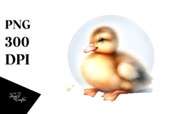 Cute Baby Duck, PNG Product Image 1