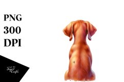 Bright Vizsla with Christmas Decor, High-Res PNG Product Image 1