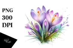 Crocus Watercolor Splash PNG Product Image 1