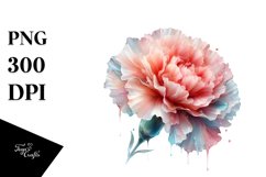 Colorful like Carnation Clipart Product Image 3