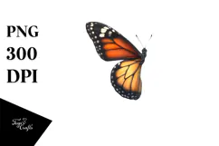 Butterfly made of Flowers, PNG Product Image 1