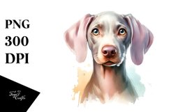 Sublimation|Clipart Product Image 1