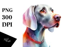 Sublimation|Clipart Product Image 3