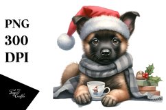 Expressive Malinois, Delicate PNG Product Image 1