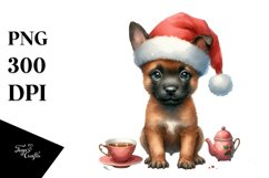 Baby Malinois with Stylish Look, High-res PNG Product Image 1