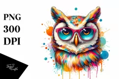 Quirky Colorful Owl Sunglasses Vibrant Paint Splashes Product Image 1