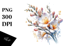 Freesia Material Watercolor Splash PNG Product Image 1