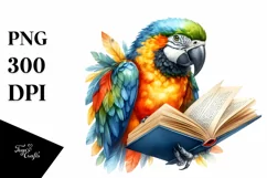 Colorful Macaw Book Reading Clipart Product Image 1